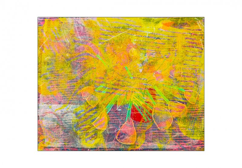 13 Shawn Dahlstrom, print