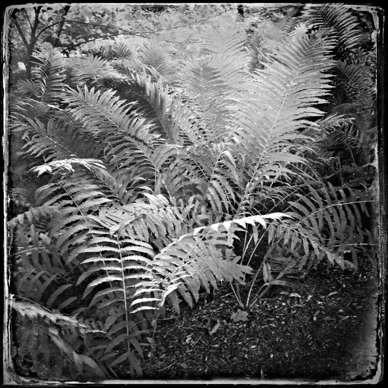 01 20140809-img 7852