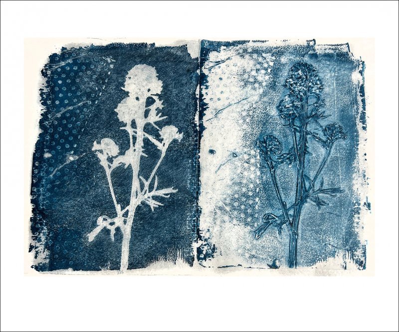  Botanical Diptych