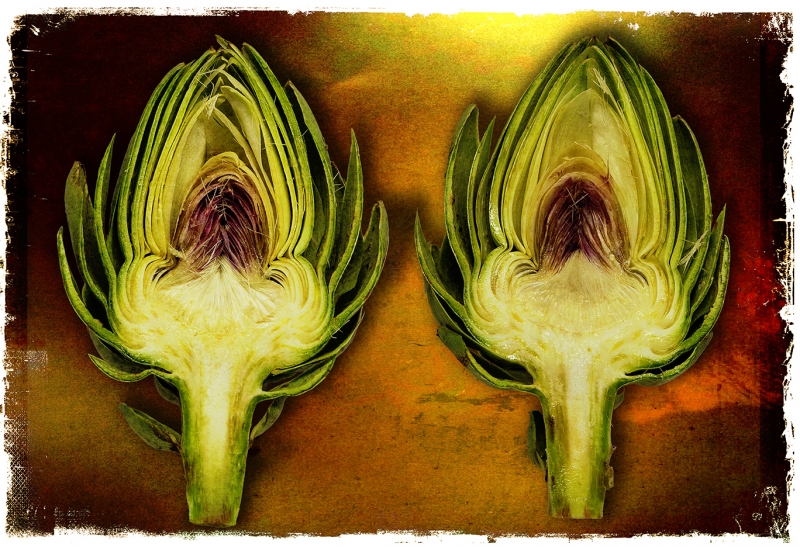03 bfdoyle artichoke